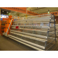 Farm Equipment Poultry Cage for Chicken Layer Boriler Pullet